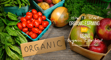 fresh organic produce